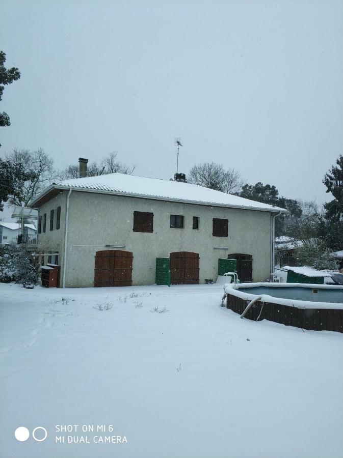 Les Bananiers Apartment Capbreton Exterior foto